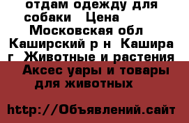 отдам одежду для собаки › Цена ­ 100 - Московская обл., Каширский р-н, Кашира г. Животные и растения » Аксесcуары и товары для животных   